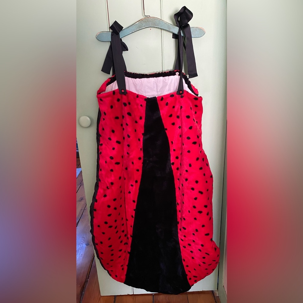 Costume - Adult Ladybug